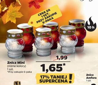 Netto Znicz mini oferta