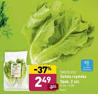 ALDI Sałata rzymska oferta