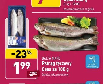 ALDI Pstrąg tęczowy oferta