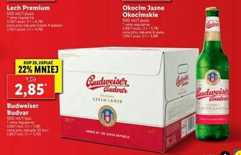 Lidl Budweiser Budvar oferta