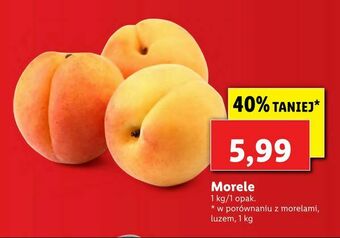 Lidl Morele oferta