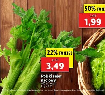 Lidl Polski seler naciowy oferta
