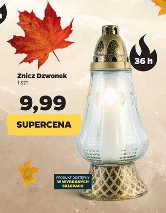 Netto Znicz dzwonek 36h oferta