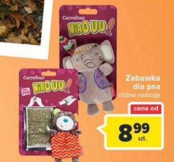 Carrefour Zabawka dla psa oferta