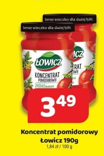 Delfin Łowicz koncentrat pomidorowy 190g oferta