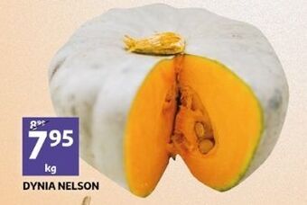 Auchan Dynia nelson oferta