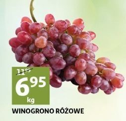 Auchan Winogrona różowe oferta