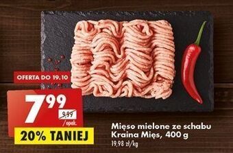 Biedronka Mięso mielone ze schabu kraina mięs oferta