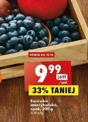 Biedronka Borówka amerykańska oferta