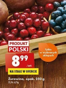 Biedronka Żurawina oferta