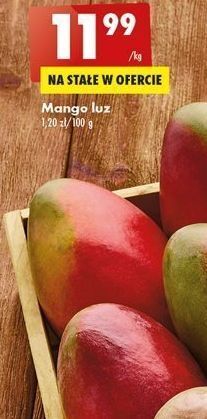 Biedronka Mango oferta