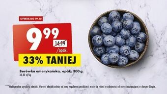 Biedronka Borówki amerykańskie oferta