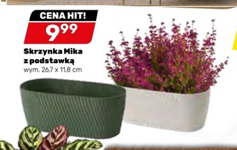 Bricomarche Skrzynka na kwiaty oferta