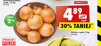 Biedronka Cebula biedronka oferta