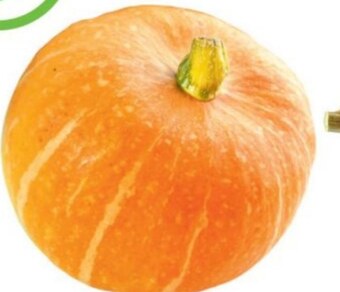 E.Leclerc Dynia oferta