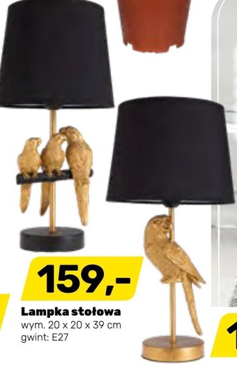 Bricomarche Lampka oferta