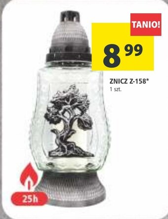 Arhelan Znicz oferta