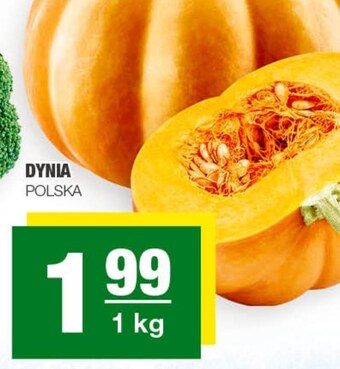 Dynia