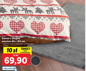Lidl Dywan 80 x 150 cm oferta