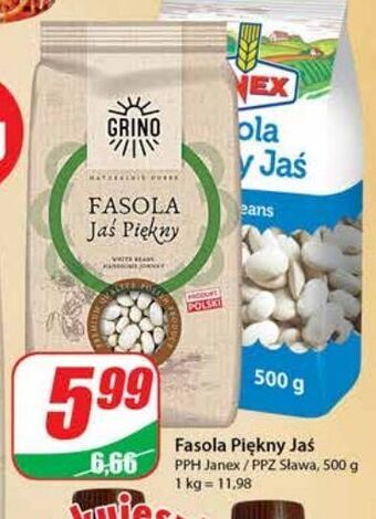 Dino Fasola jaś piękny grino oferta