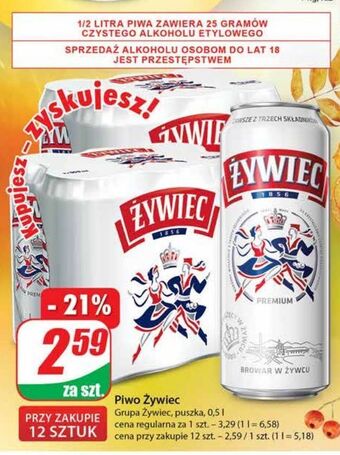 Dino Piwo żywiec jasne pełne oferta
