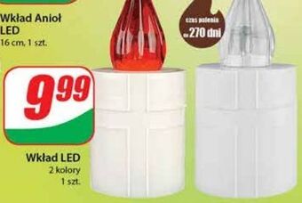 Dino Wkład led oferta