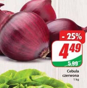Dino Cebula czerwona oferta