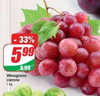 Dino Winogrona ciemne oferta