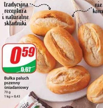 Dino Bułka paluch oferta