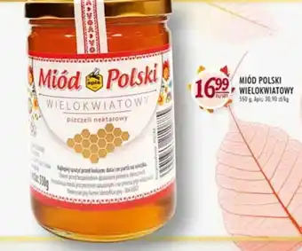 Stokrotka Apis miód polski wielokwiatowy oferta