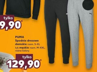 Kaufland Spodnie dresowe męskie rozm. m-xxl puma oferta