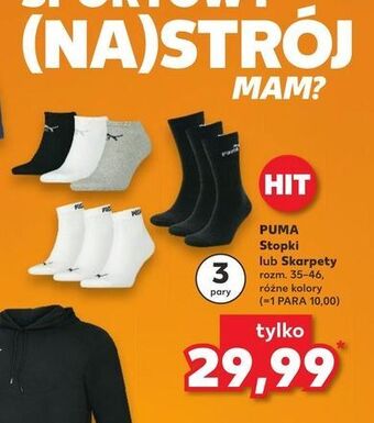 Kaufland Skarpety męskie 35-46 puma oferta