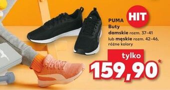 Kaufland Buty damskie 37-41 puma oferta