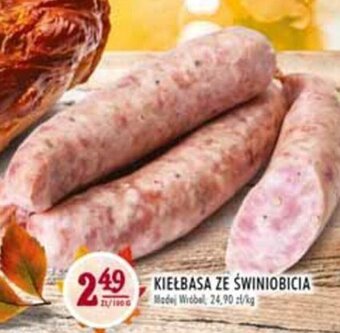 Stokrotka Madej Wróbel kiełbasa ze świniobicia 100g oferta