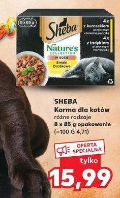 Kaufland Karma dla kota smaki drobiowe sheba nature's collection oferta