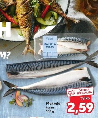 Kaufland Makrela tusza fish & seafood oferta