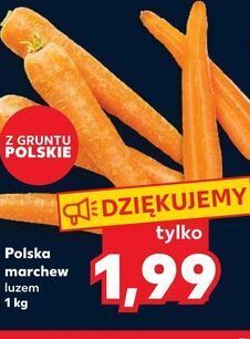 Kaufland Marchew oferta