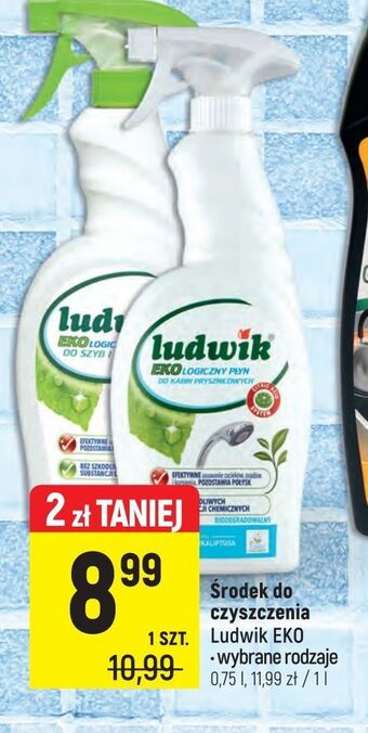 Intermarche Pianka ekologiczna do czyszczenia łazienki ludwik oferta