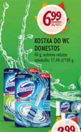 Stokrotka Domestos kostka do wc oferta