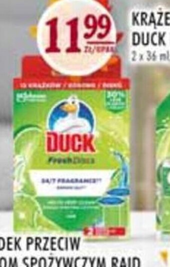 Stokrotka Duck krążek żelowy fresh discs oferta
