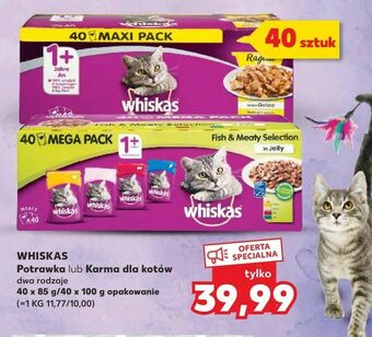 Kaufland WHISKAS Potrawka lub Karma dla kotów oferta