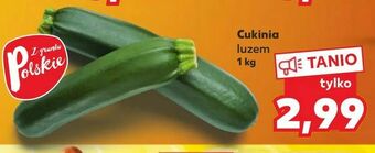 Kaufland Cukinia oferta