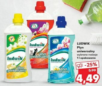 Kaufland LUDWIK Płyn uniwersalny oferta