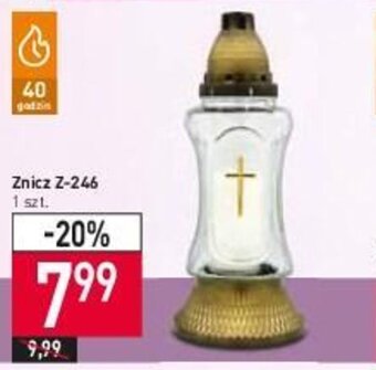 Stokrotka znicz z-246 oferta