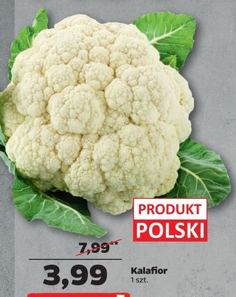 Netto Kalafior oferta
