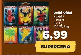 Netto Żelki vidal oferta
