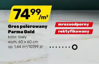 Bricomarche Gres polerowany Parma Gold kolor: biały, wymiary: 60 x 60 cm, mrozoodporny, rektyfikowany oferta