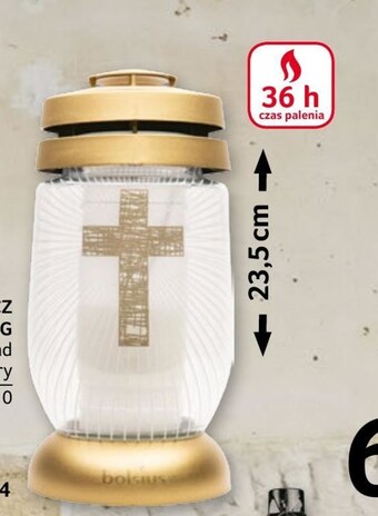 Selgros Znicz oferta