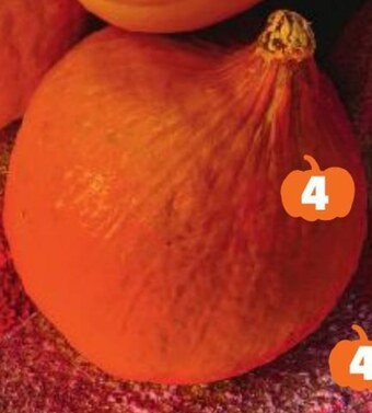 Kaufland Dynia oferta