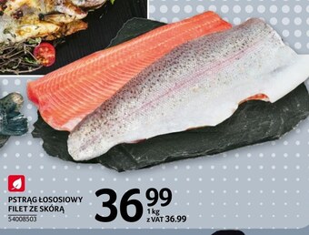 Selgros Pstrąg oferta
